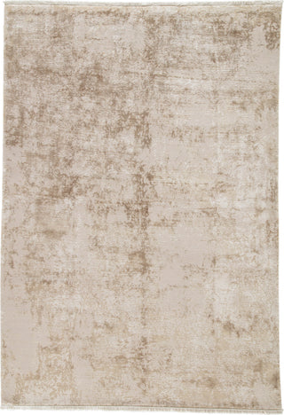 Jaipur Living Denisli Cephale DEN04 Cream Area Rug