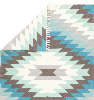 Jaipur Living Desert Mojave DES01 Aqua/Gray Area Rug