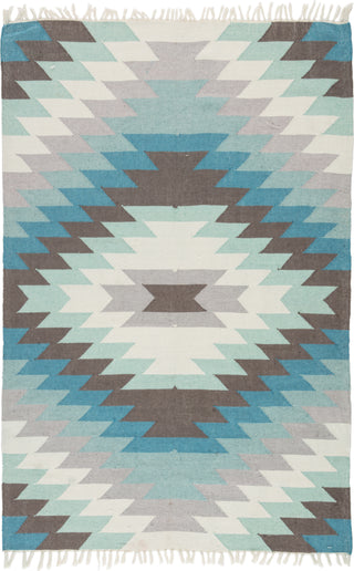 Jaipur Living Desert Mojave DES01 Aqua/Gray Area Rug