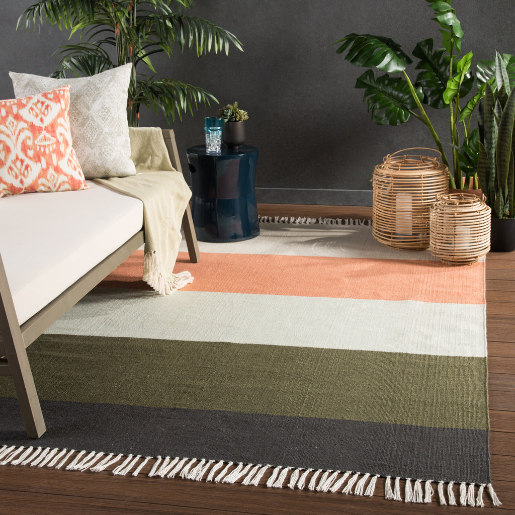 Jaipur Living Desert Swane DES18 Coral/Green Area Rug Lifestyle Image Feature