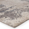 Jaipur Living Delmara Aegean DLM02 Gray/Beige Area Rug Corner Image