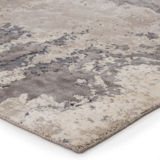 Jaipur Living Delmara Aegean DLM02 Gray/Beige Area Rug Corner Image