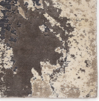 Jaipur Living Delmara Aegean DLM02 Gray/Beige Area Rug Corner Close Up Image