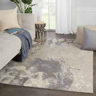 Jaipur Living Delmara Aegean DLM02 Gray/Beige Area Rug Lifestyle Image Feature