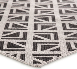 Jaipur Living Decora by Tanith DNC12 Light Gray/Black Area Rug Nikki Chu