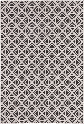 Jaipur Living Decora by Tanith DNC12 Light Gray/Black Area Rug Nikki Chu