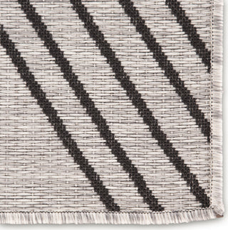 Jaipur Living Decora by Cyrene DNC13 Light Gray/Black Area Rug Nikki Chu