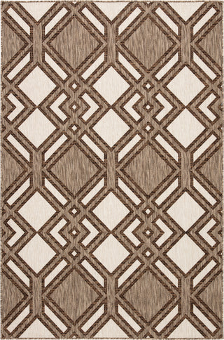 Jaipur Living Decora Samba DNC16 Brown/Ivory Area Rug by Nikki Chu Main Image