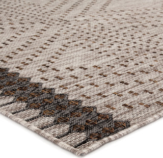 Jaipur Living Decora Tirana DNC17 Gray/Brown Area Rug by Nikki Chu Corner Image