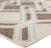 Jaipur Living Decora Samba DNC19 Brown/Light Blue Area Rug by Nikki Chu