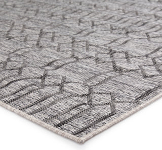 Jaipur Living Decora Calcutta DNC21 Gray Area Rug by Nikki Chu - Corner