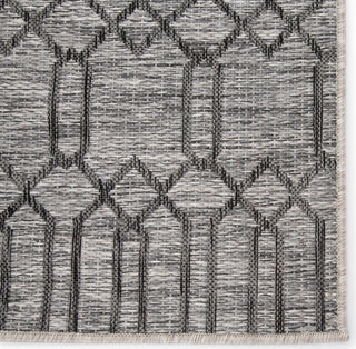 Jaipur Living Decora Calcutta DNC21 Gray Area Rug by Nikki Chu - Close Up