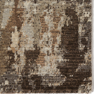 Jaipur Living Dash Buxton DSH20 Brown/Light Gray Area Rug