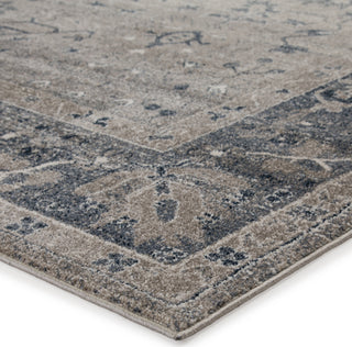 Jaipur Living Dulce Ambre DUL03 Light Gray/Blue Area Rug