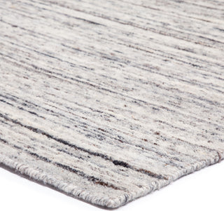 Jaipur Living Davern Moscow DVN02 Gray Area Rug