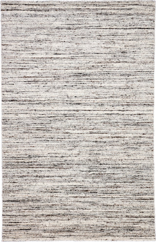 Jaipur Living Davern Moscow DVN02 Gray Area Rug