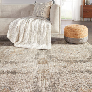 Jaipur Living En Blanc Airi EBC06 Gray/Beige Area Rug by Vibe