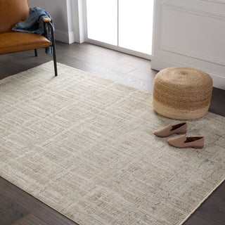 Jaipur Living En Blanc Sovis EBC10 Light Gray/Ivory Area Rug by Vibe Lifestyle Image Feature