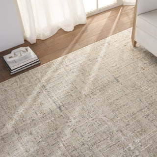 Jaipur Living En Blanc Sovis EBC10 Light Gray/Ivory Area Rug by Vibe Lifestyle Image