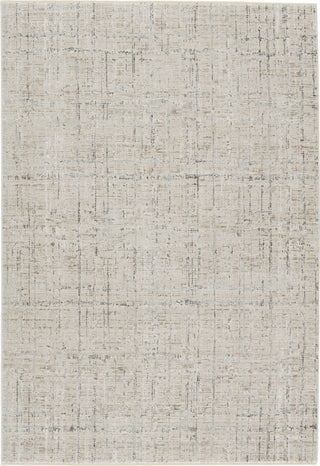 Jaipur Living En Blanc Sovis EBC10 Light Gray/Ivory Area Rug by Vibe main image