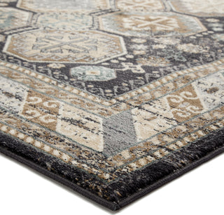 Jaipur Living Elysian Rayhan ELY07 Dark Gray/Tan Area Rug