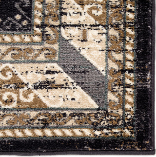 Jaipur Living Elysian Rayhan ELY07 Dark Gray/Tan Area Rug