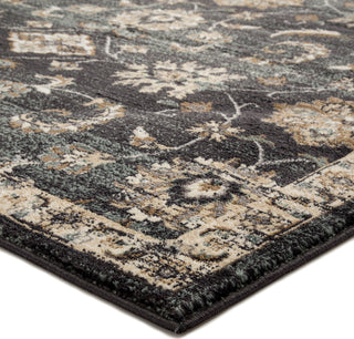 Jaipur Living Elysian Driscoll ELY08 Dark Gray/Beige Area Rug