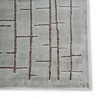 Jaipur Living Fables Palmer FB158 Silver/Gray Area Rug