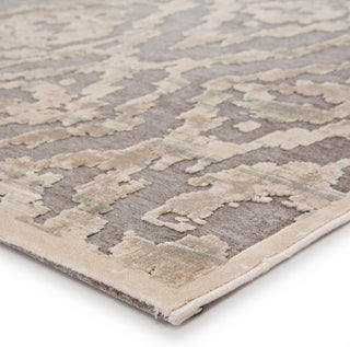 Jaipur Living Fables Blayne FB166 Brown/Beige Area Rug