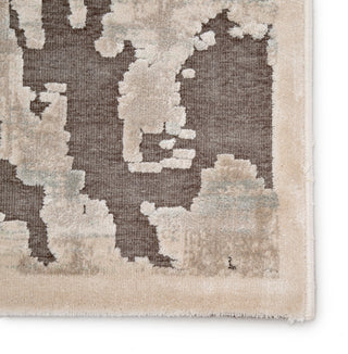 Jaipur Living Fables Blayne FB166 Brown/Beige Area Rug