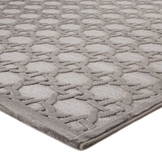 Jaipur Living Fables Trella FB46 Gray/Silver Area Rug