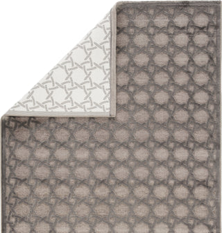 Jaipur Living Fables Trella FB46 Gray/Silver Area Rug