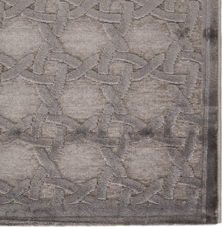 Jaipur Living Fables Trella FB46 Gray/Silver Area Rug