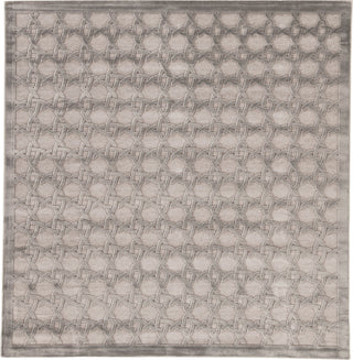 Jaipur Living Fables Trella FB46 Gray/Silver Area Rug