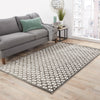 Jaipur Living Fables Stardust FB49 Gray/White Area Rug Lifestyle Image Feature