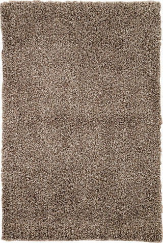 Jaipur Living Flux FL09 Brown Area Rug