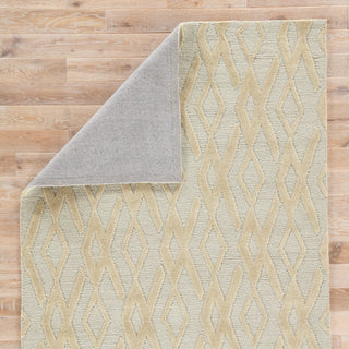 Jaipur Living Fusion Colombo FN49 Gray/Tan Area Rug