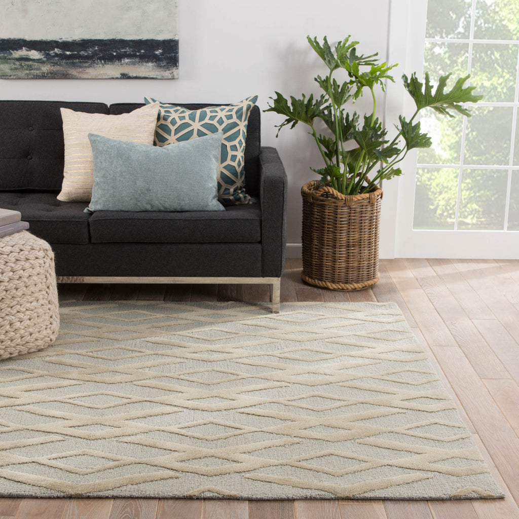Jaipur Living Fusion Colombo FN49 Gray/Tan Area Rug Lifestyle Image Feature