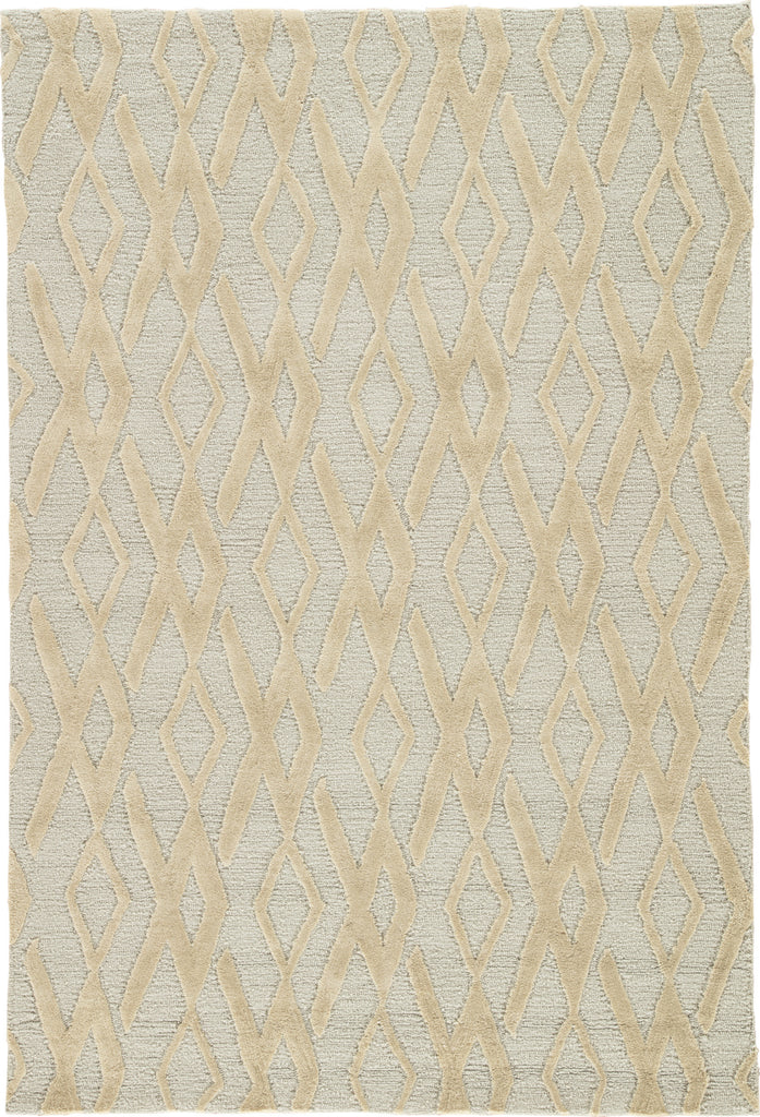Jaipur Living Fusion Colombo FN49 Gray/Tan Area Rug