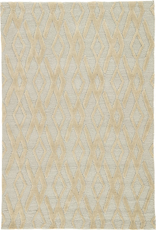 Jaipur Living Fusion Colombo FN49 Gray/Tan Area Rug