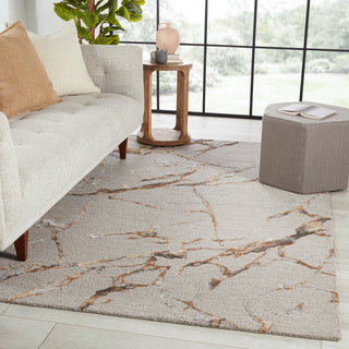 Jaipur Living Fragment Shattered FRG03 Gray/Gold Area Rug Lifestyle Image