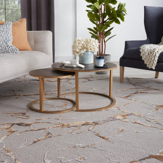 Jaipur Living Fragment Shattered FRG03 Gray/Gold Area Rug Lifestyle Image