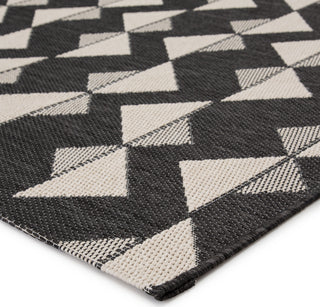 Jaipur Living Fresno Zemira FSN01 Black/Cream Area Rug