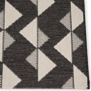 Jaipur Living Fresno Zemira FSN01 Black/Cream Area Rug