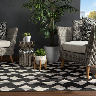 Jaipur Living Fresno Zemira FSN01 Black/Cream Area Rug