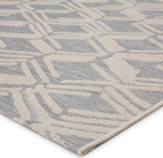 Jaipur Living Fresno Caelum FSN03 Light Gray/Cream Area Rug