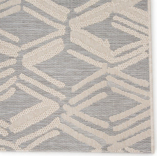 Jaipur Living Fresno Caelum FSN03 Light Gray/Cream Area Rug