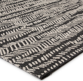 Jaipur Living Fresno Citali FSN05 Black/Cream Area Rug