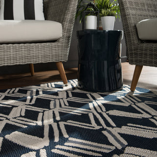 Jaipur Living Fresno Caelum FSN07 Navy/Cream Area Rug