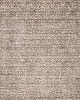 Jaipur Living Free Verse Edge by Kavi Raagam FVK01 Gray/Beige Area Rug - Top Down